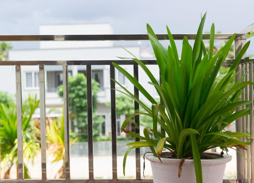 Overflow Guesthouse Siem Reap Buitenkant foto